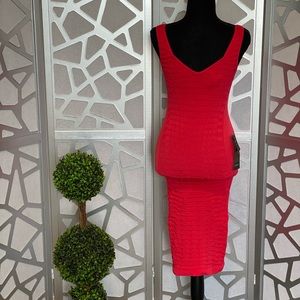 Bebe bodycon dress